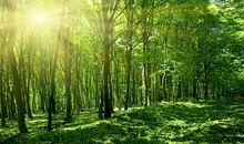 选择承担责任，撑起一片蓝天