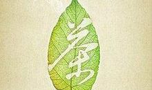 我是一片小小的树叶