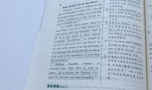 2009年中考优秀作文素材：心声