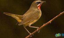 母亲的爱滋润了我的心田