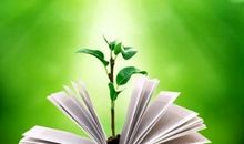 书香，芬芳了我的心灵