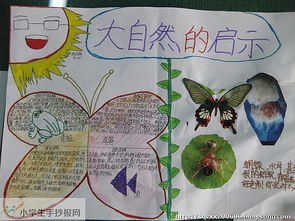谢谢大自然