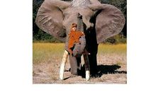 语文是我的最爱