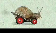 忙碌的一天_600字