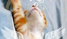 那是一次勇敢的尝试初