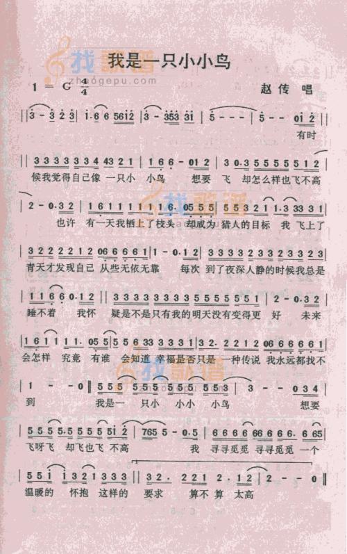 如果我是鸟儿