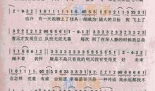 假如我是一只鸟作文