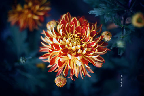 季节的思考