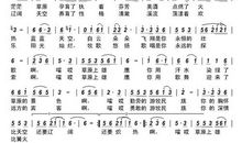 雄鹰给我上的一堂课