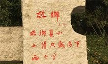 流浪者的归途_450字