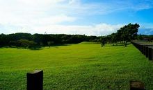 那片绿油油的草地_550字