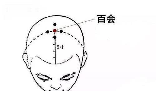 有百汇园