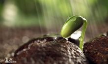 文化与生命同在