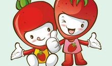 那是一次让我懂得道理的尝试