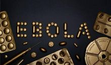 金行侠之雪上加霜_550字