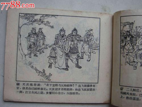 我从书中读到了岳飞