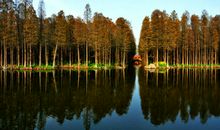 游乌巾荡公园_600字