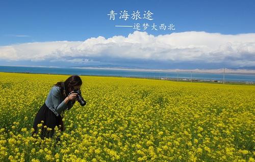 青海对我