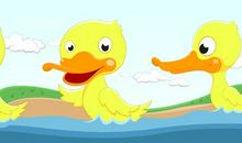 我们要做快乐的鸭子_500字