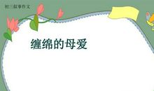 缠绵的母爱