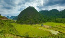 未来的广州_500字