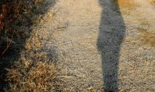 行走在乡间的小路上