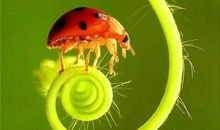 怀着感恩的心去生活