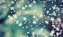 别在计算机中失了心