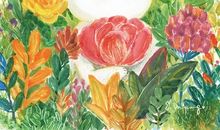 小兔子的幸福生活