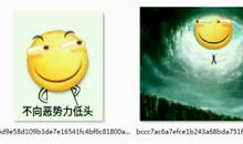 从不向失败低头