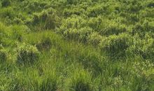 愿善待这份温柔