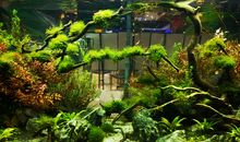 生活就应该是这样