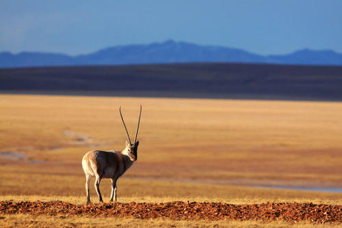 幸福在生活中悄悄地走