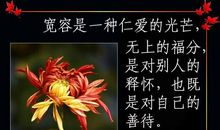 宽容可以为世间添一份美好