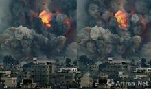 和平鸽，战火中的天使