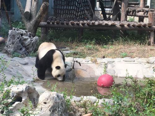 私人动物园