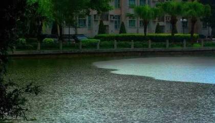 雨中过去