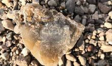 激动人心的一刻_500字