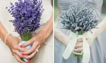 让礼仪之花开遍生活的角角落落