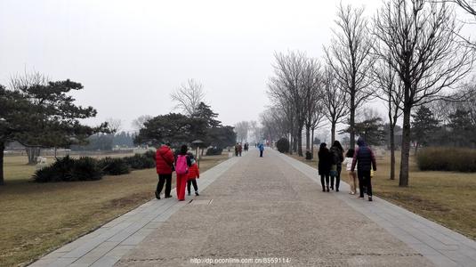 春节旅行须知