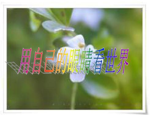 我用眼睛看世界