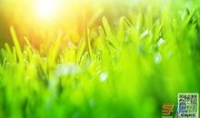 成长路上的阳光