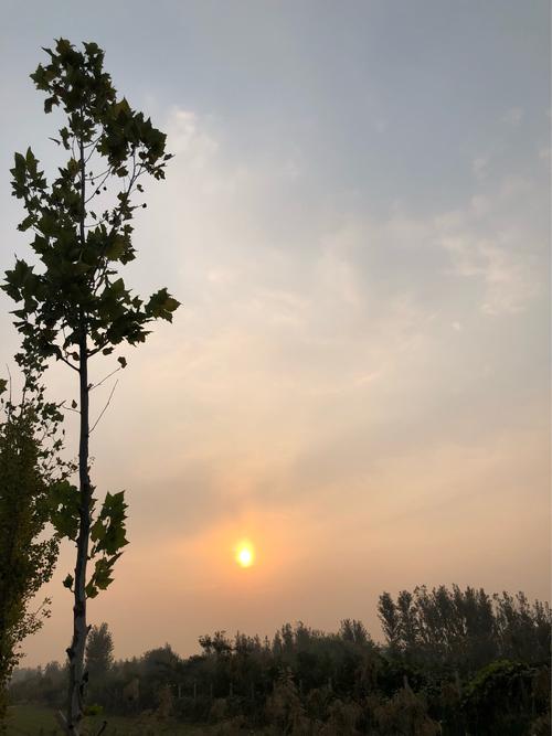 谢谢你认识我