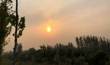 感谢我的人生遇见您