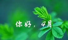 被风吹过的梧桐