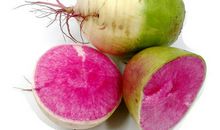 心里美生活才会美