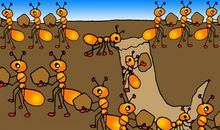 蚂蚁搬家的启示