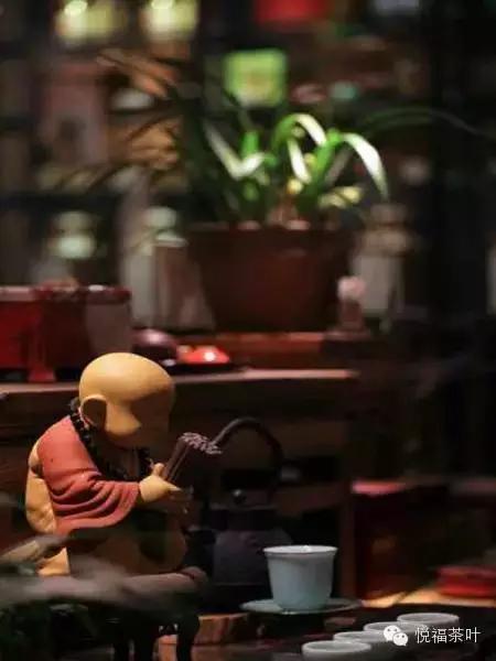专注使我沉思