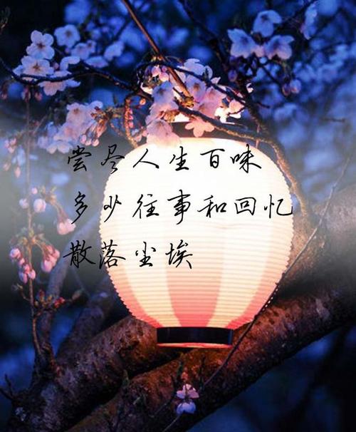 难忘的校园之爱