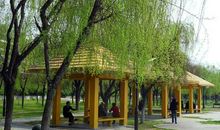 春天的名人公园